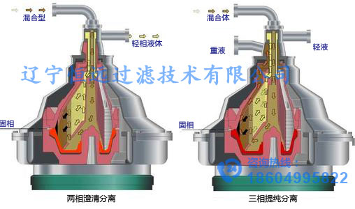 1573283677156579.jpg 1.jpg